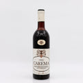 Vino Carema bottle on a white background