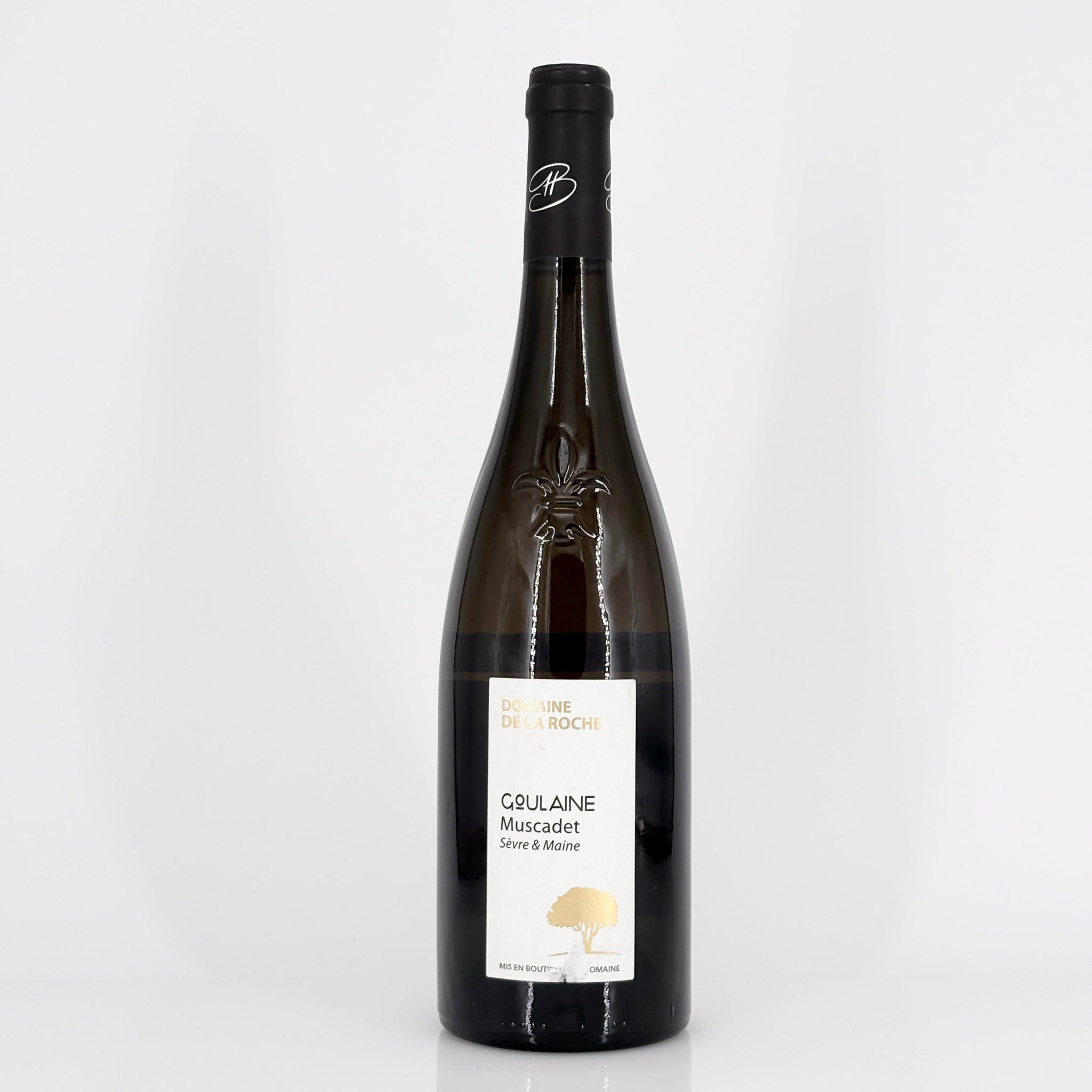 Bottle of wine on a white background