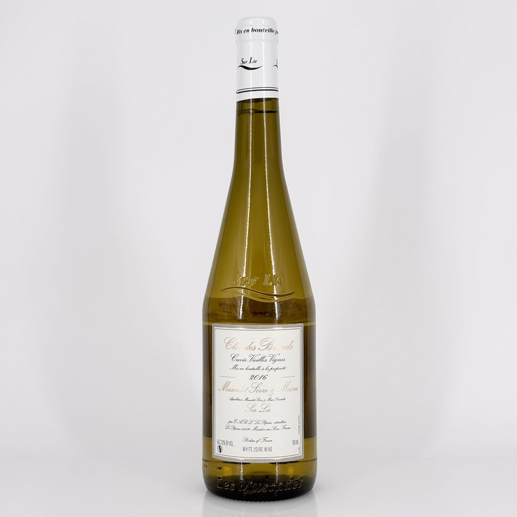 Bottle of wine on a white background