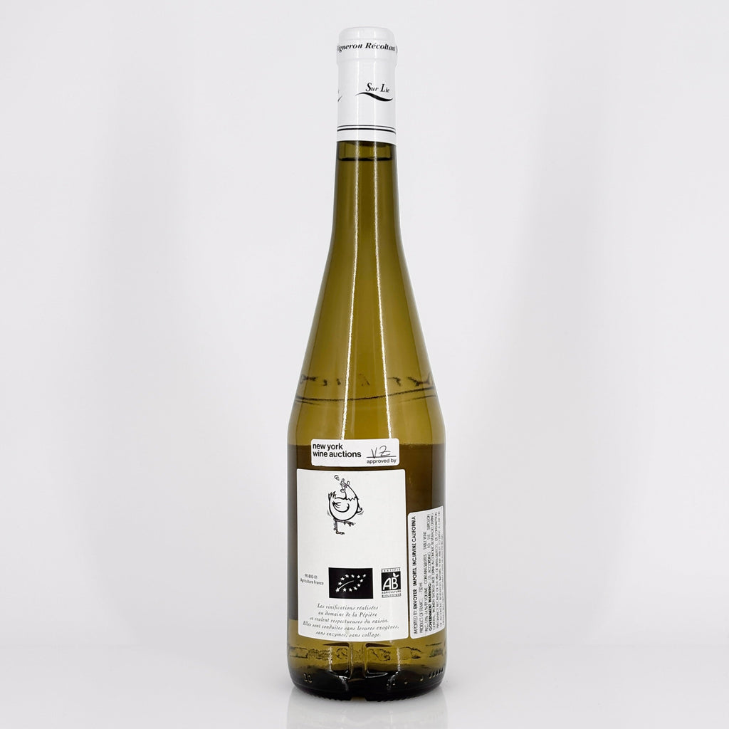 Bottle of wine on a white background