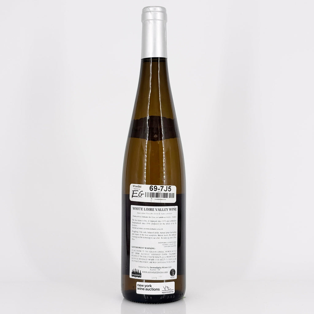 Bottle of wine on a white background