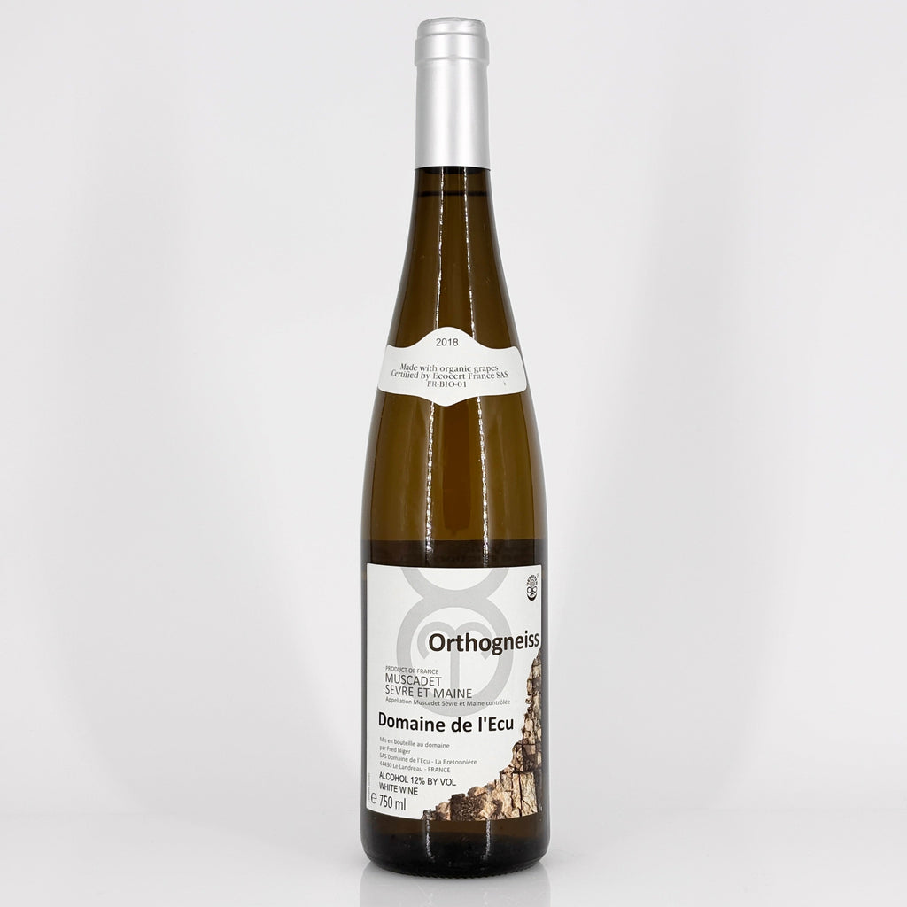Bottle of wine on a white background