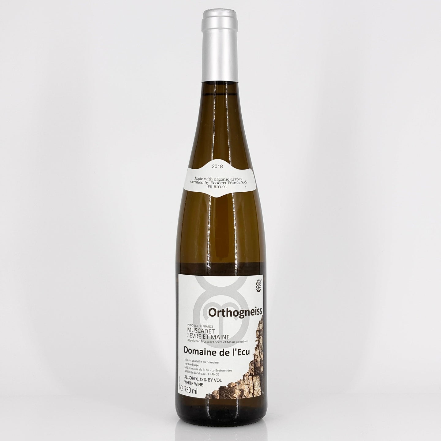 Bottle of wine on a white background