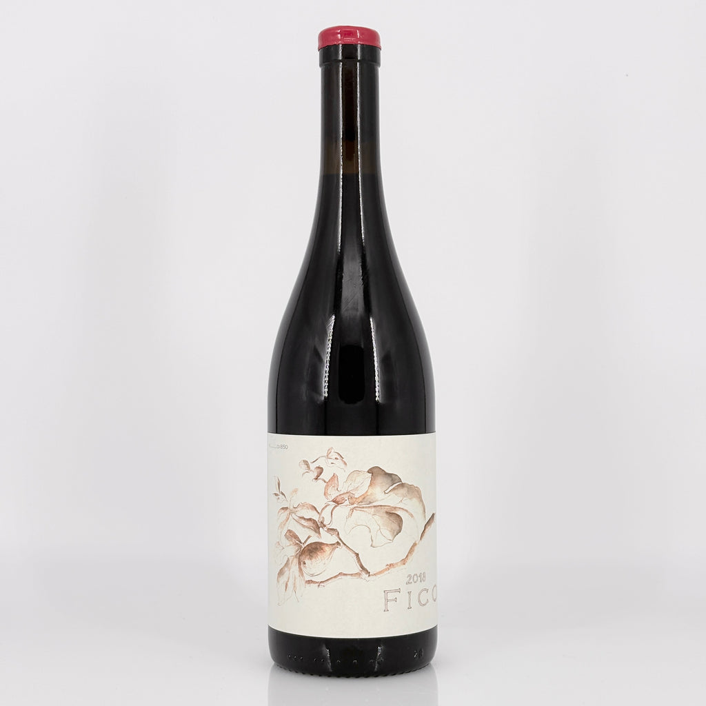 Bottle of wine