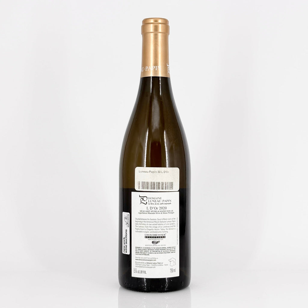Bottle of wine on a white background
