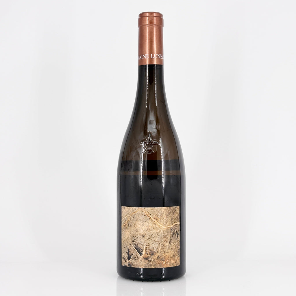 Bottle of wine on a white background