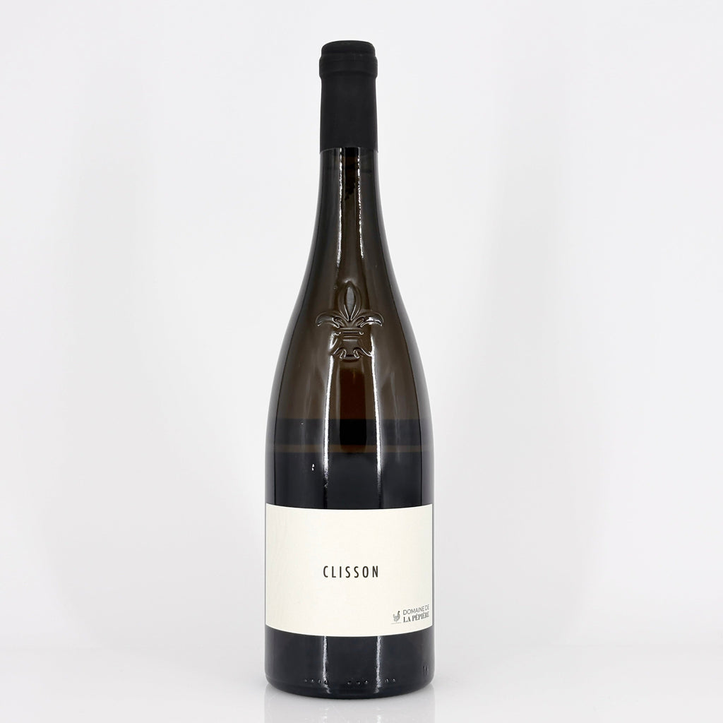 Bottle of wine on a white background
