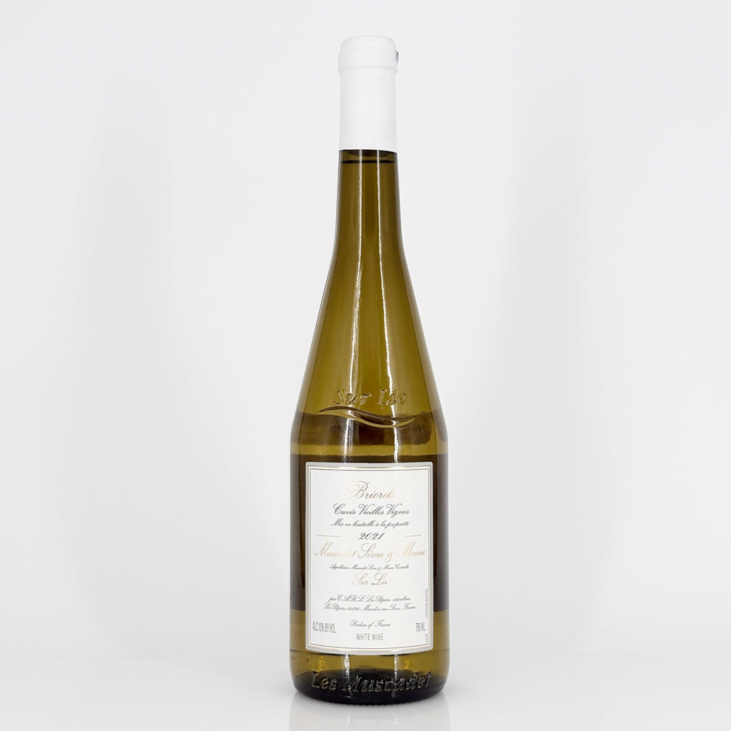 Bottle of wine on a white background