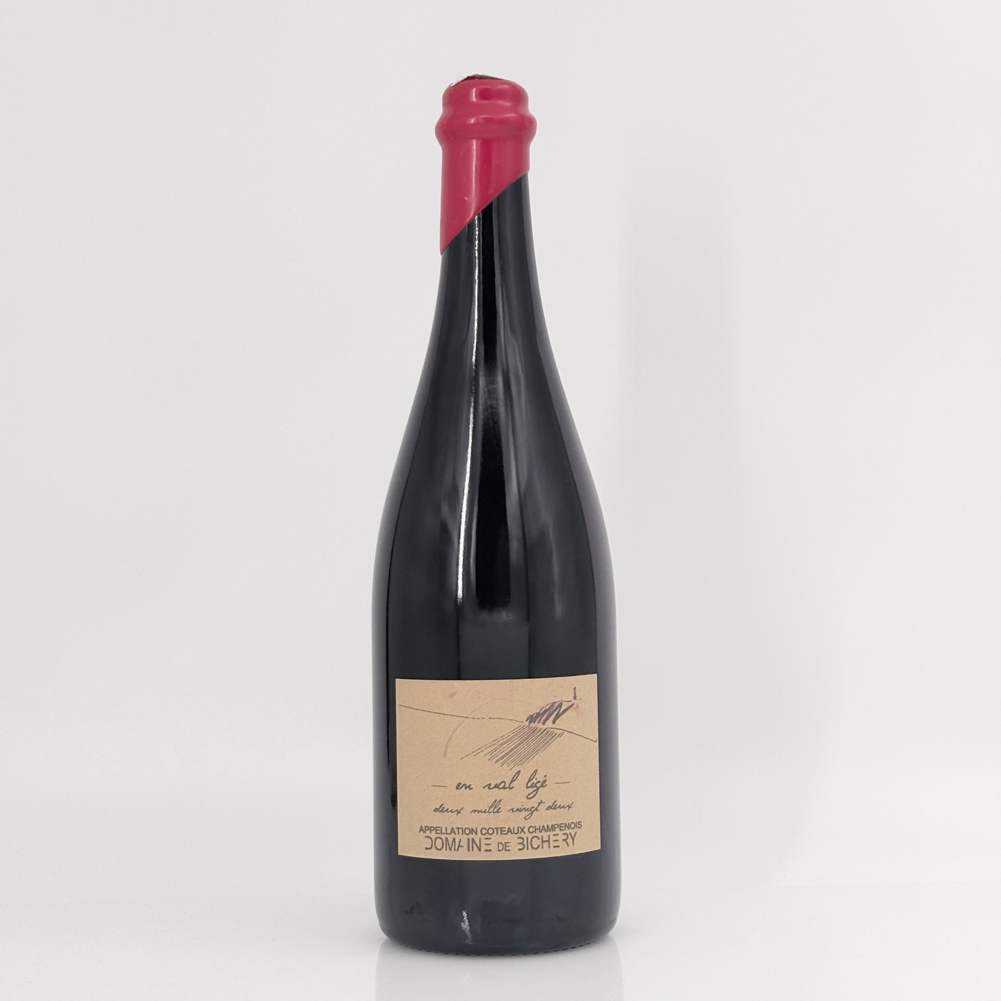 2022 Domaine de Bichery 'En Val Lige' Coteaux Champenois Champagne, France