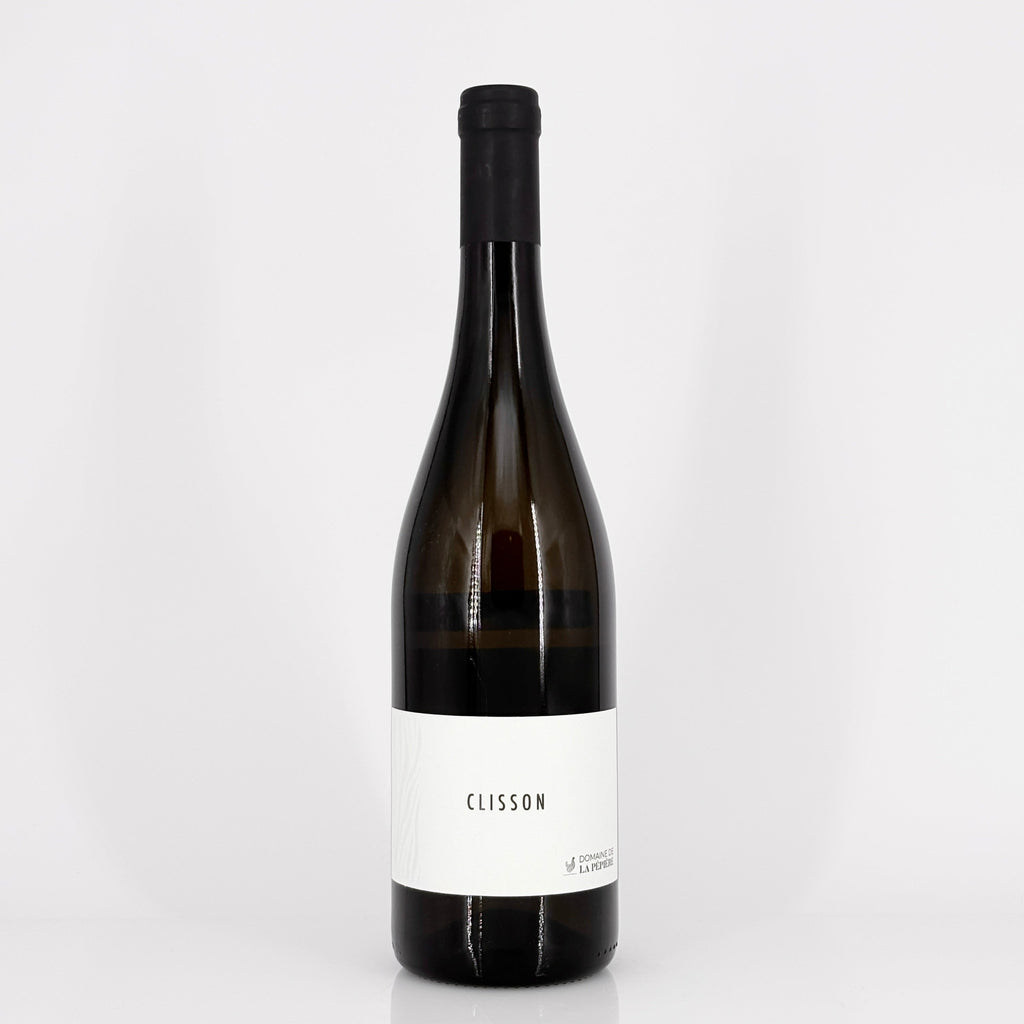 Bottle of wine on a white background