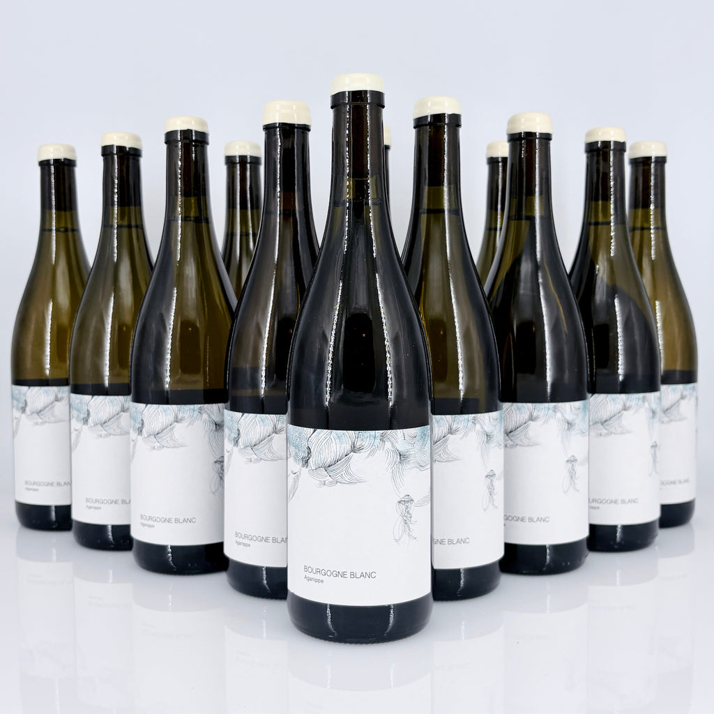 Row of wine bottles with white labels on a light gray background
