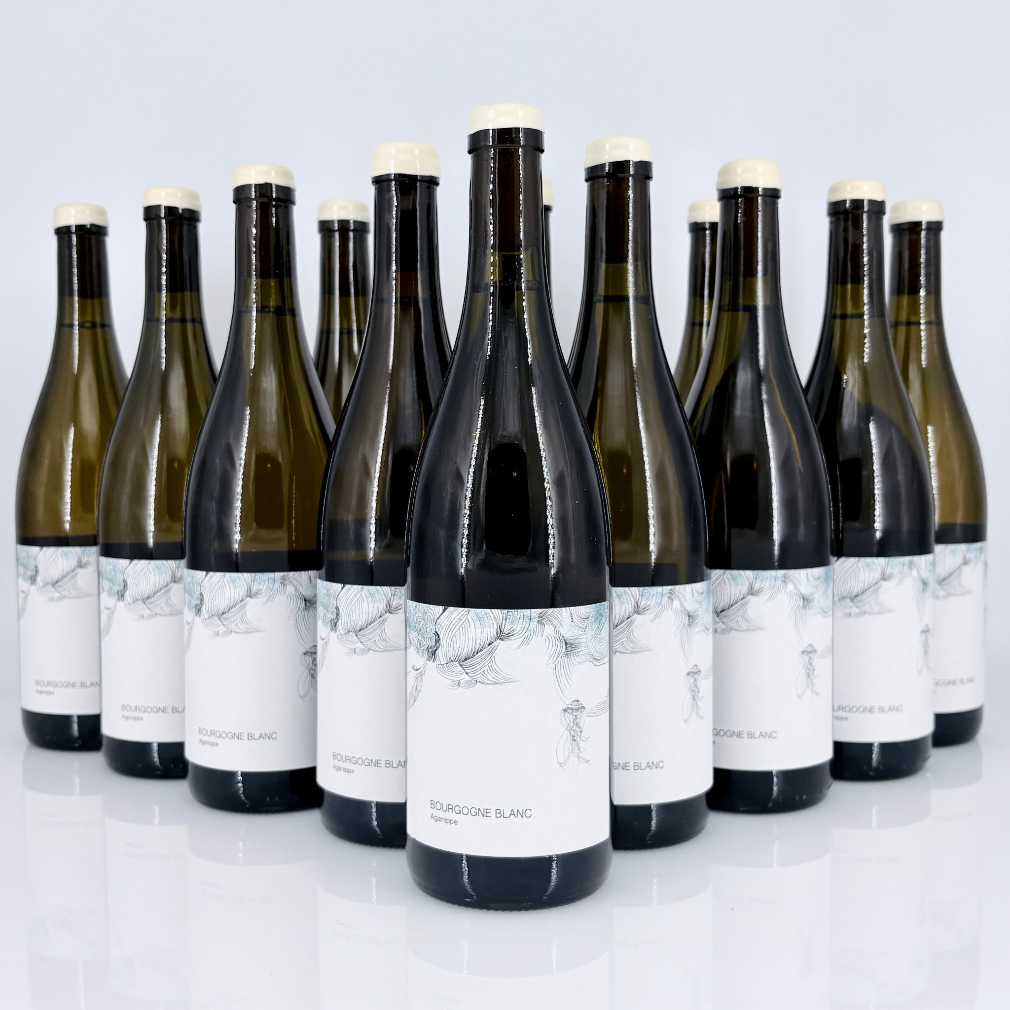 Row of wine bottles with white labels on a light gray background