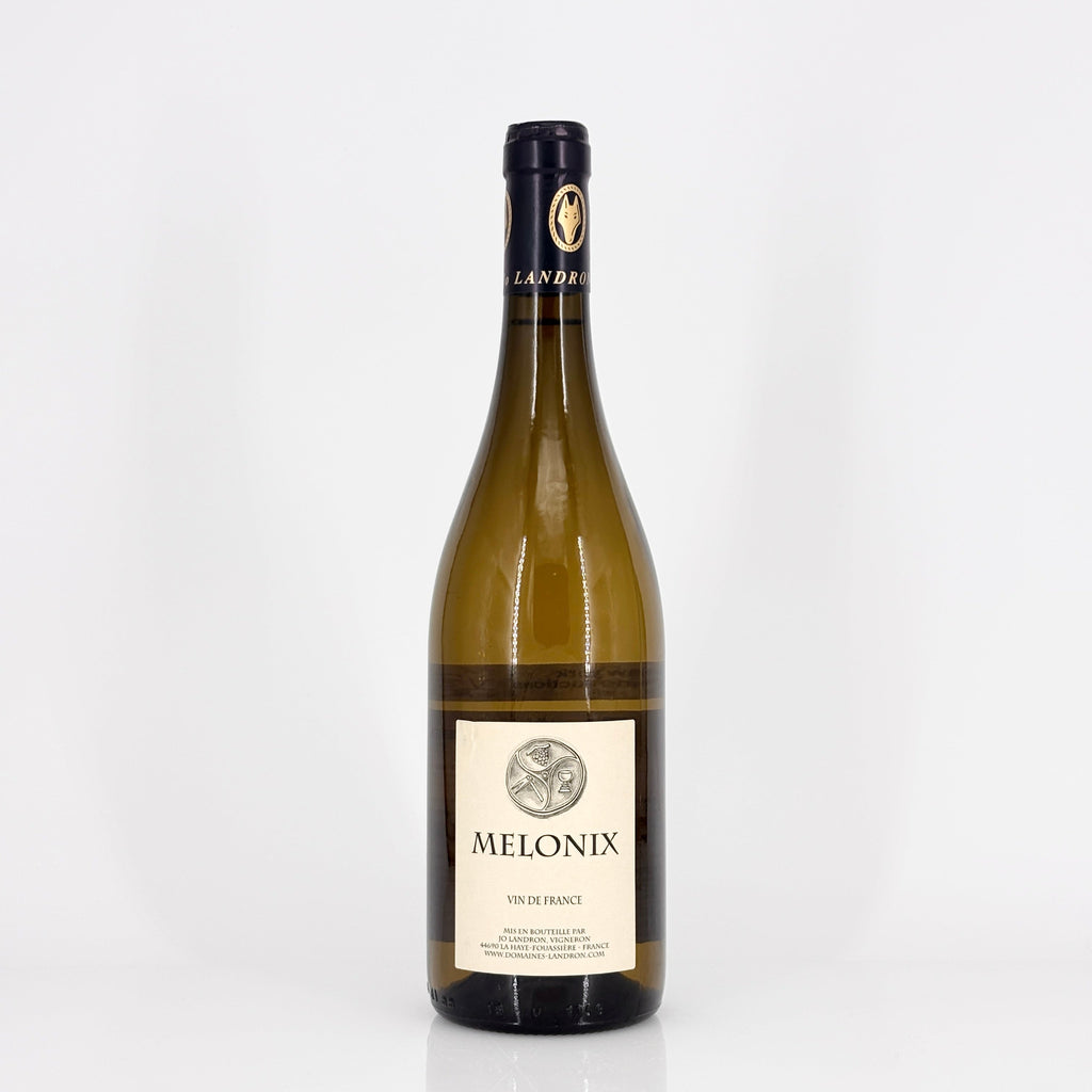 Bottle of wine on a white background
