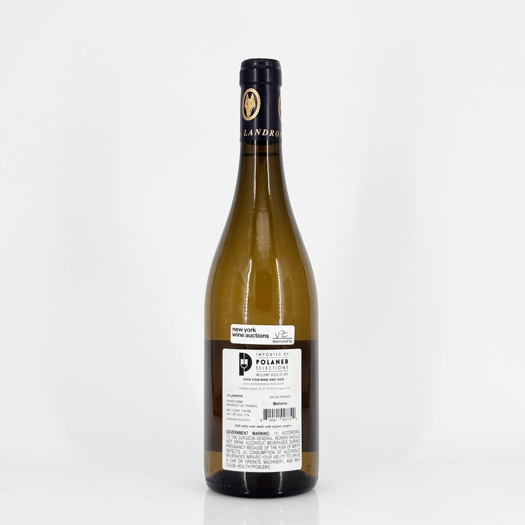 Bottle of wine on a white background