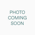 shopify auction-81572
