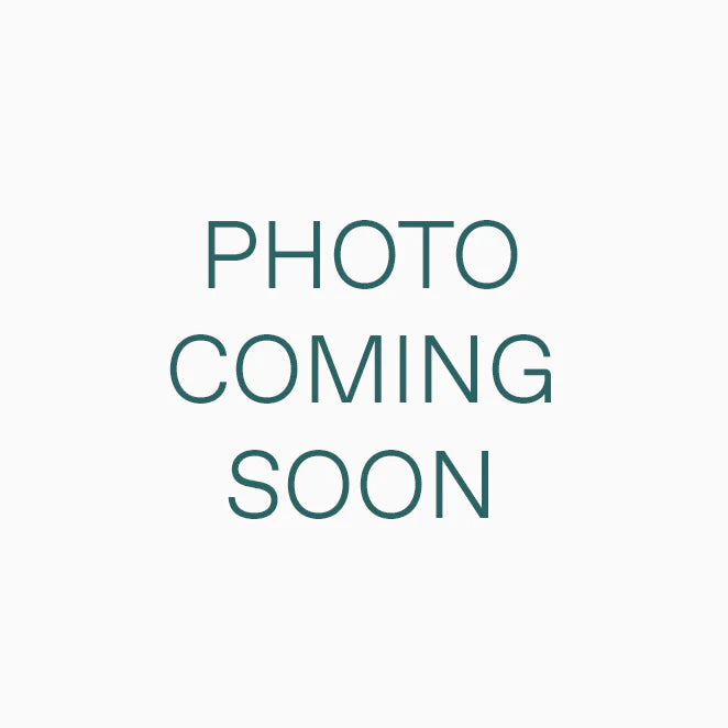 shopify auction-81572