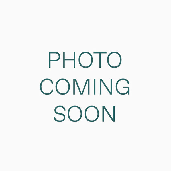 shopify auction-51148